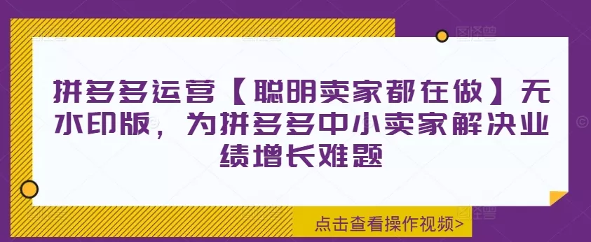 拼多多运营【聪明卖家都在做】无水印版,为拼多多中小卖家解决业绩增长难题-网创项目孵化中心 拼多多运营【聪明卖家都在做】无水印版,为拼多多中小卖家解决业绩增长难题-网创项目孵化中心