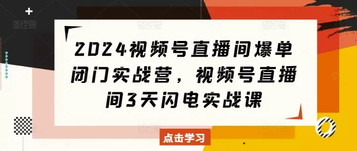2024视频号直播间爆单闭门实战营,视频号直播间3天闪电实战课-网创项目孵化中心 2024视频号直播间爆单闭门实战营,视频号直播间3天闪电实战课-网创项目孵化中心