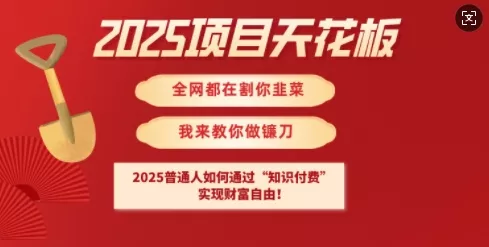 2025项目天花板普通人如何通过知识付费,实现财F自由【揭秘】-网创项目孵化中心 2025项目天花板普通人如何通过知识付费,实现财F自由【揭秘】-网创项目孵化中心